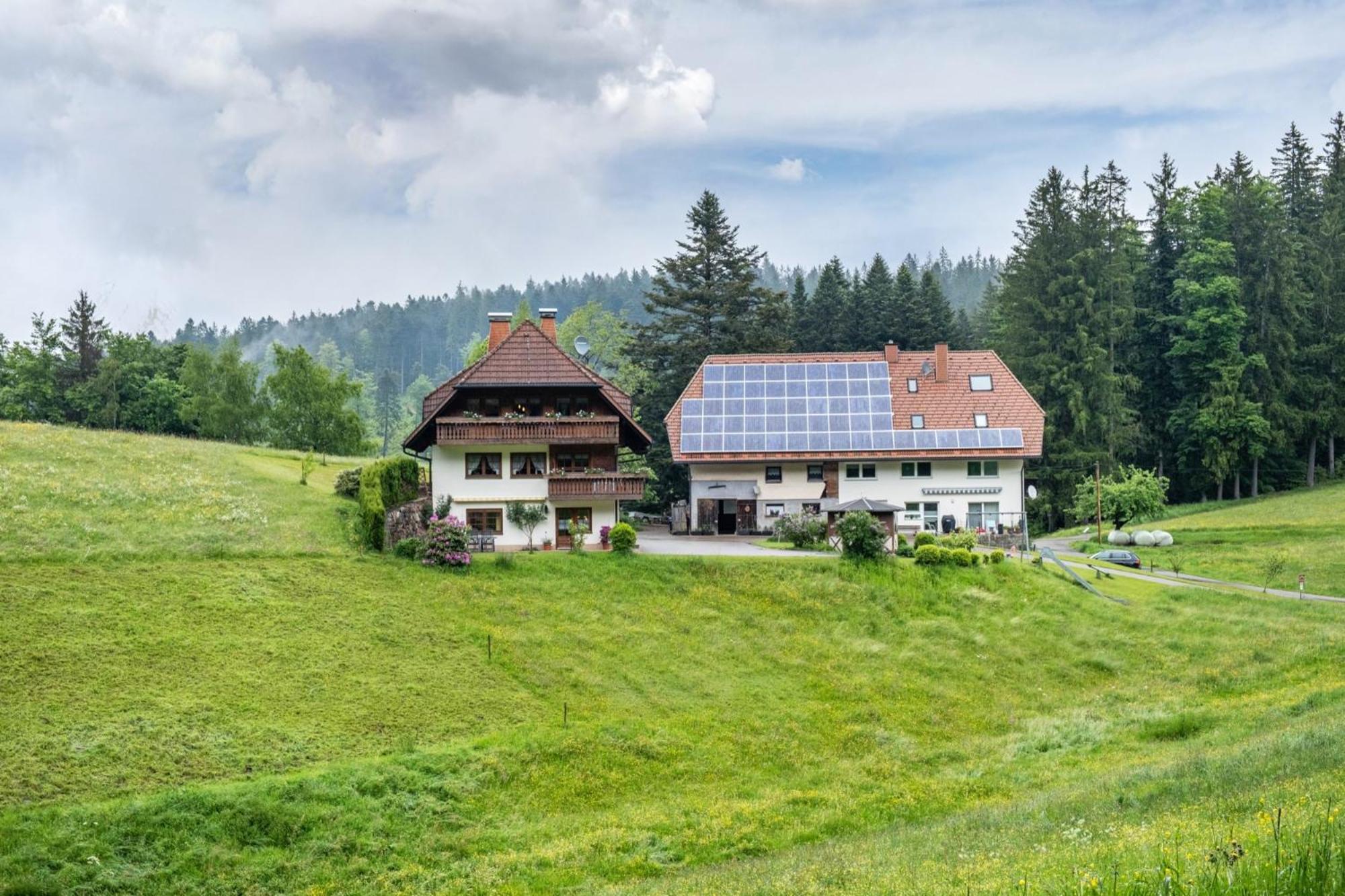 Schreinerhaeusle Naehe Titisee Himmelreich Exterior photo