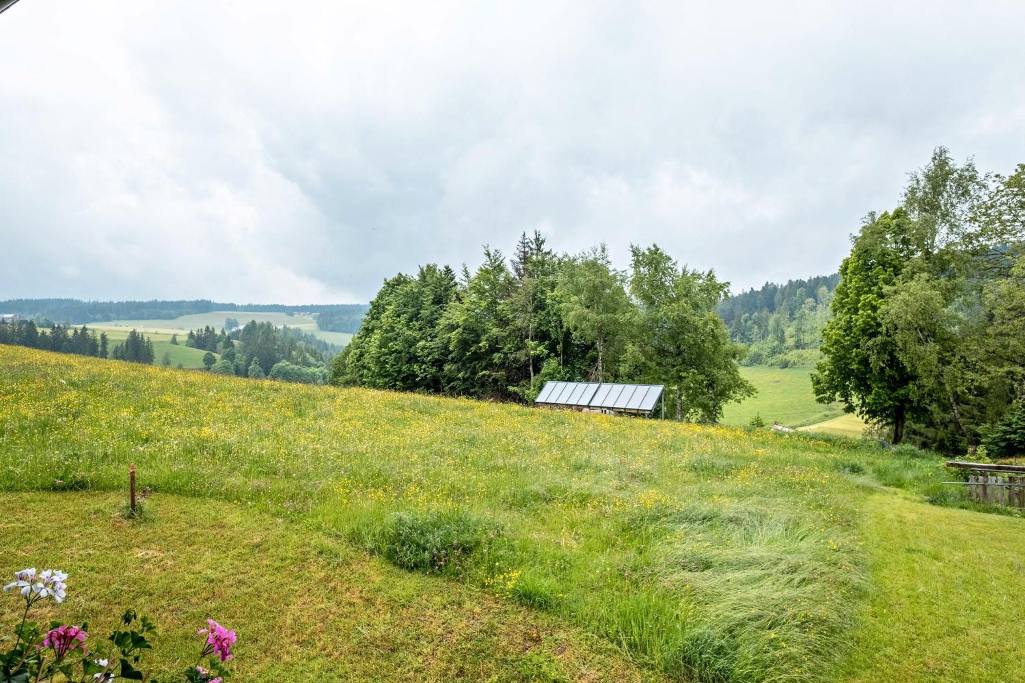 Schreinerhaeusle Naehe Titisee Himmelreich Exterior photo